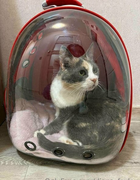 latina onlyfans sexy nudes gallery