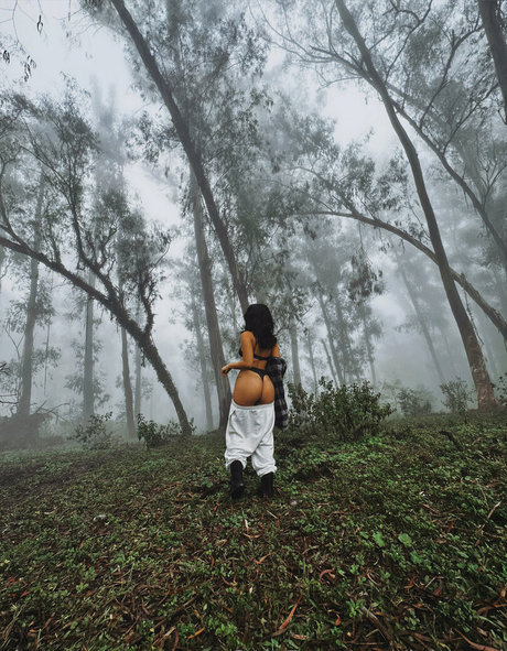 loi need pornstar hot galleries