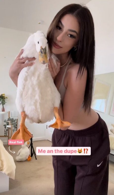 yyyudy model pornographic photo