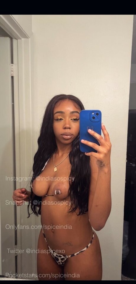 IndiaSpice star nice gallery