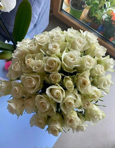 Sweet Aliceee pornstar perfect picture