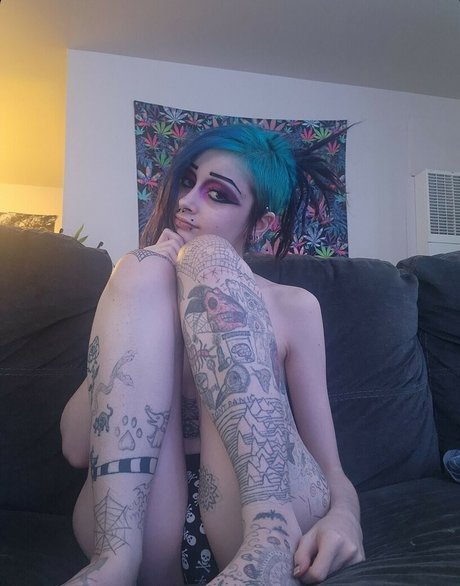 The Lab Rat_ star top picture