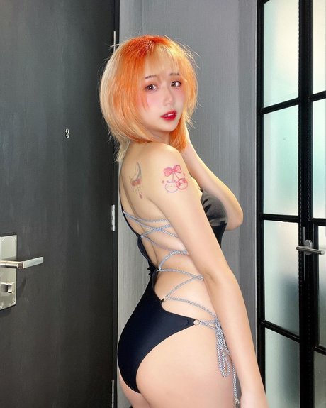 Akaei Ray model top img