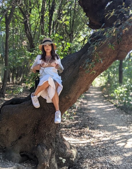 Prunette star beautiful images