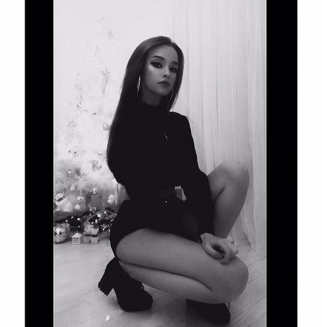 olivka648 best model img