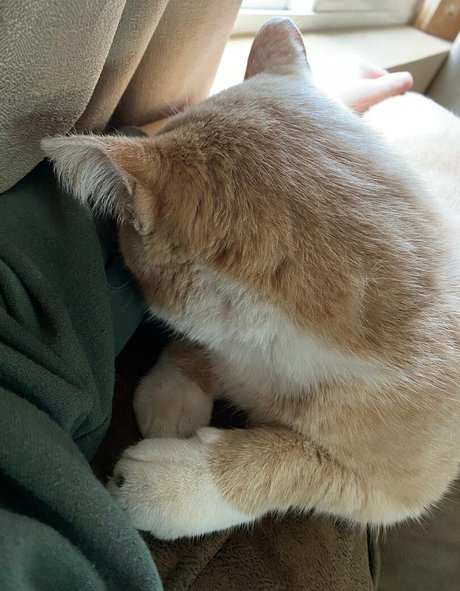 Aelarose best actress photos