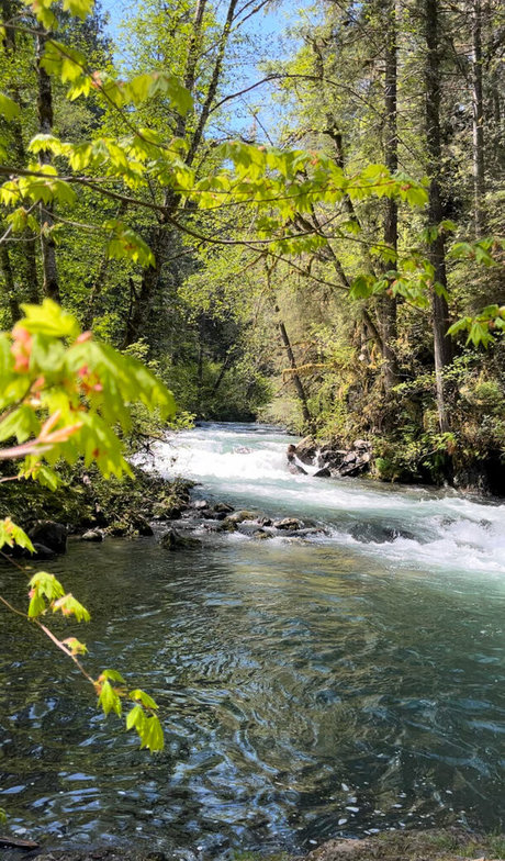 mouth onlyfans perfect image