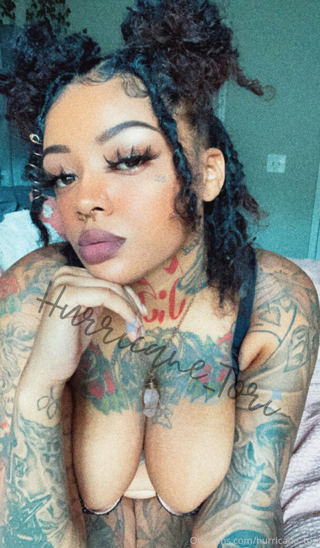 hurricane tori model top photo