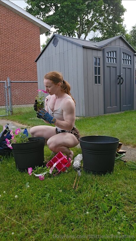 fitlittleredheadfree art model picture