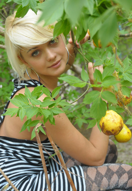 dmv onlyfans xxx pic