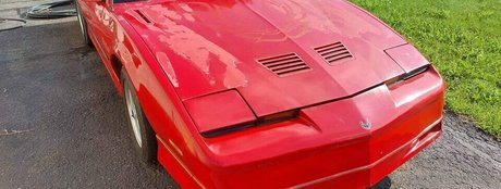 Shygal lilly nice star archive