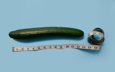 fatsackfails top star gallery