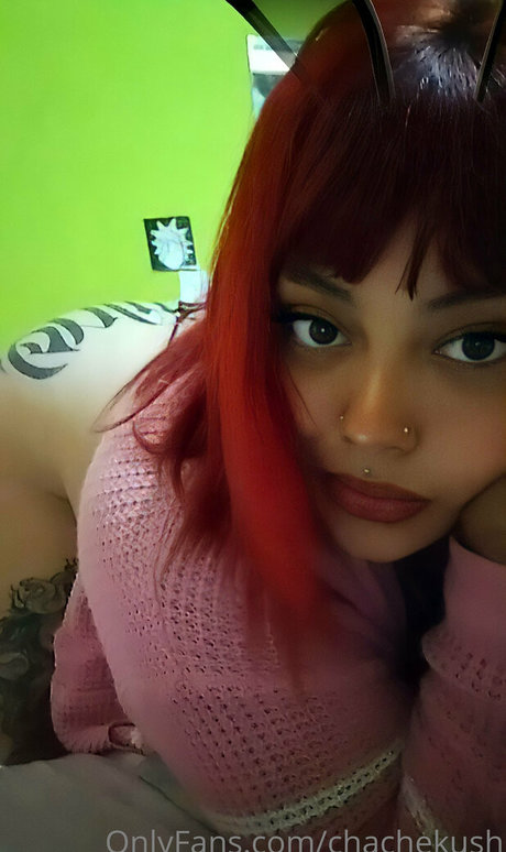 chachekush420 nice star img