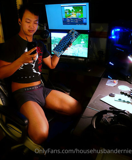 househusbandernie art model archive