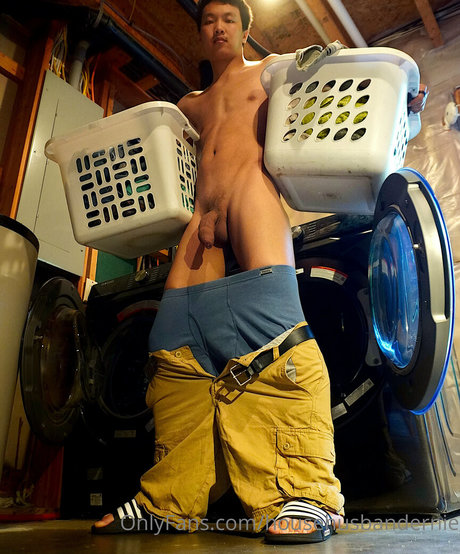 househusbandernie porn star img