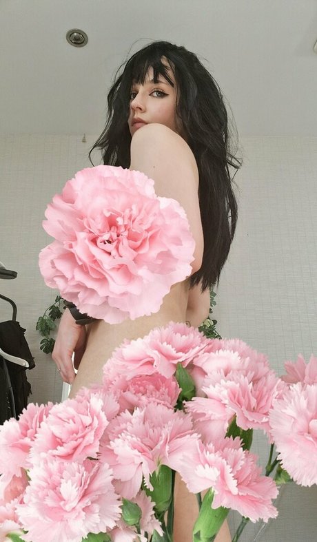 lotjeof star beautiful galleries