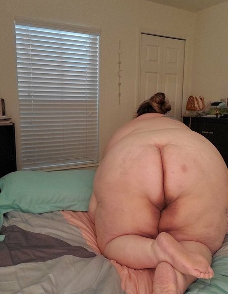 danissbbw best star galleries