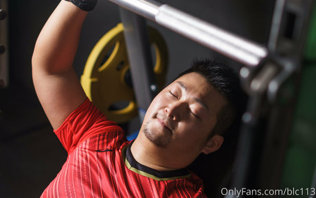 blc113 model top picture