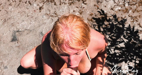 xkingray model best img