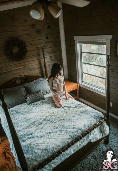 halz pornstar high quality photos