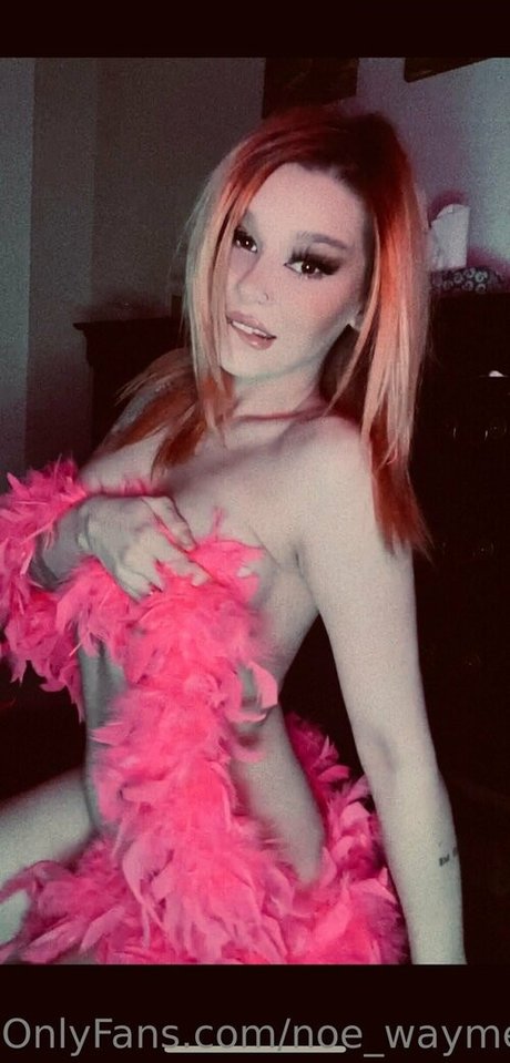 noe waymefree240399 star pretty photo