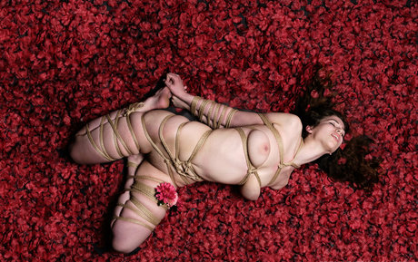 Modeladventurer nude actress gallery