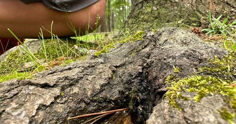 curvy kitty onlyfans naked img