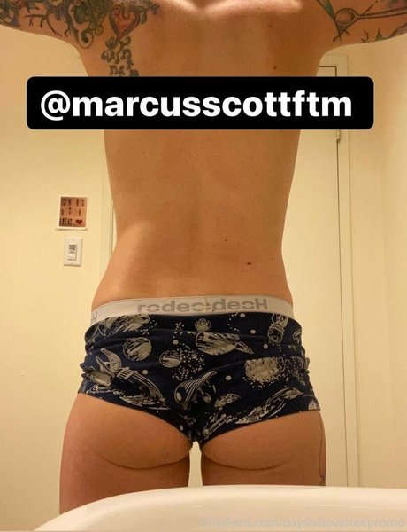 dayshalovefreepromo star free gallery