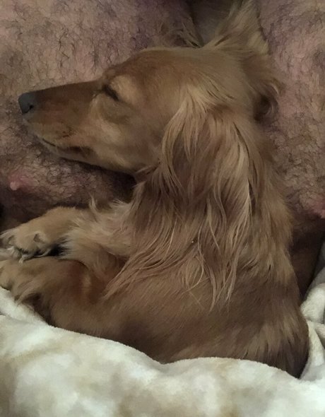 bbc squirt onlyfans porn images