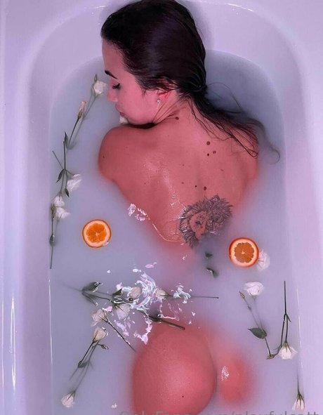 radacatt model hd img