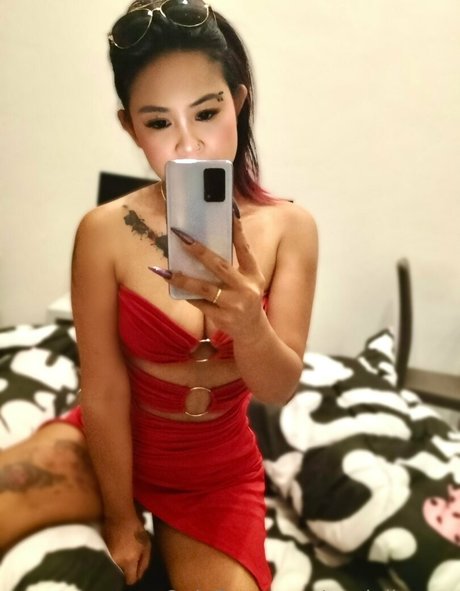 terriallyours star free photos