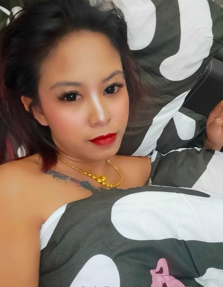 terriallyours erotic pornstar archive