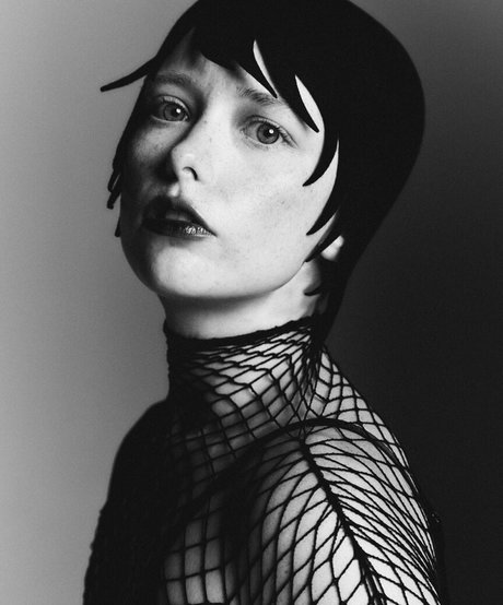 thestrawberrybutcher star best pictures