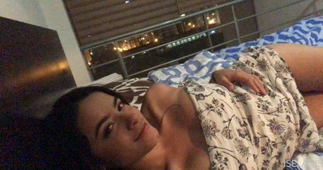 dannagisell model art galleries