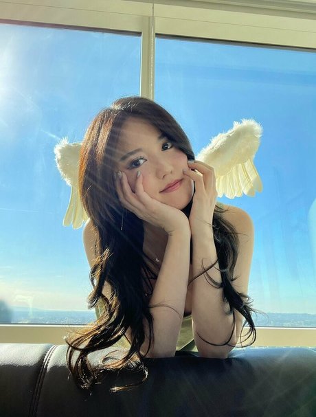 Plushys star high quality image