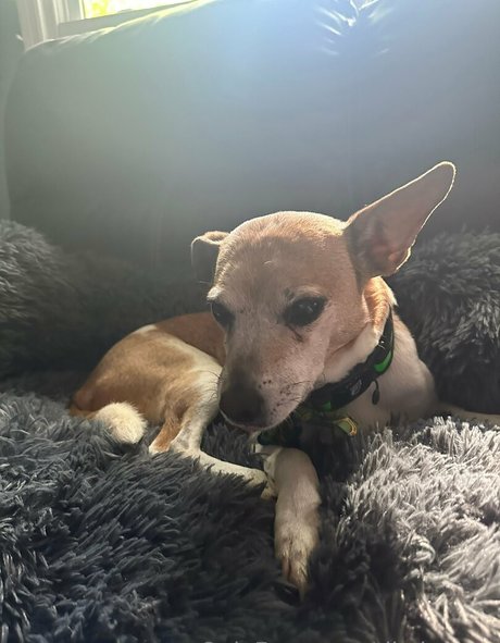 tikalovexo model beautiful images