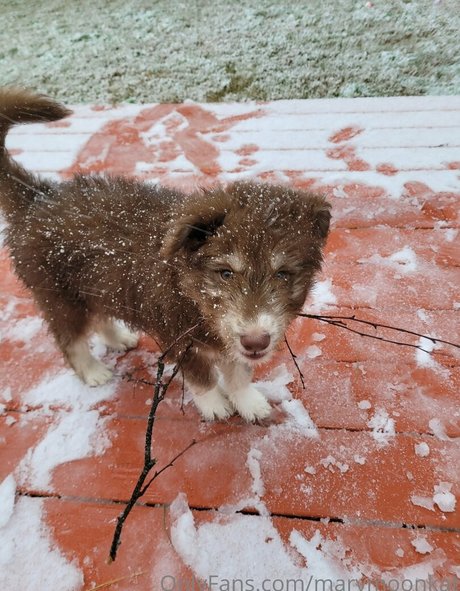 marymoonkat art model pic