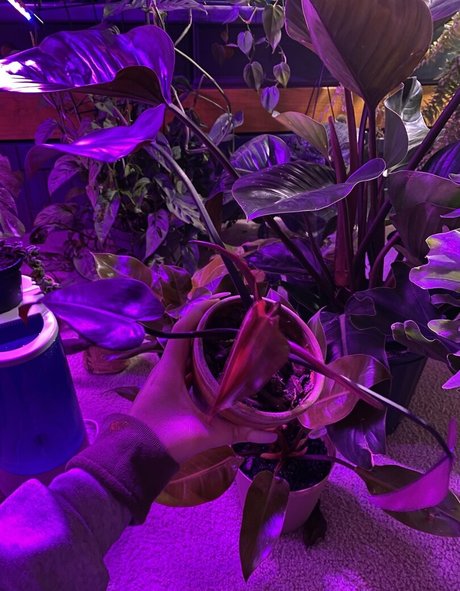 mother daughter onlyfans beautiful nude pictures