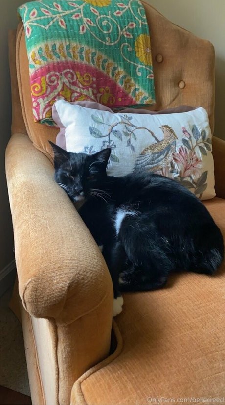 big dildo onlyfans sexy pictures