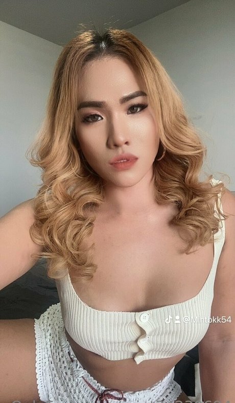 mint24230694 star nice gallery