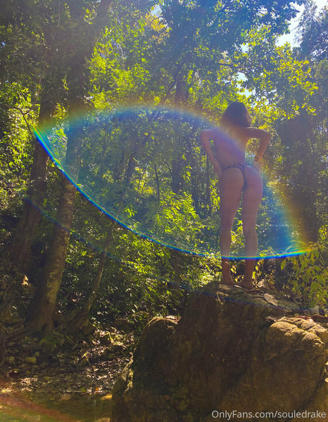 Souledrake perfect model archive