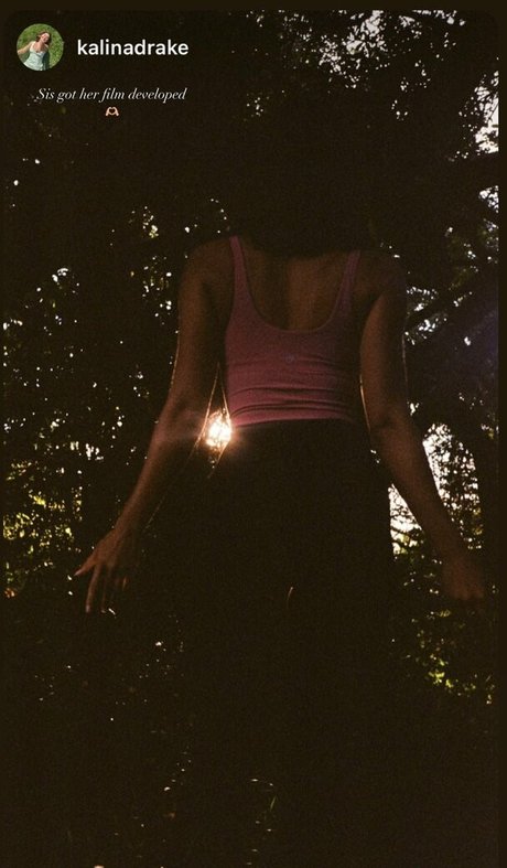 Souledrake top pornstar galleries