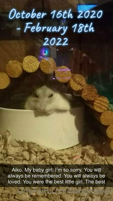 babymooshi erotic model image