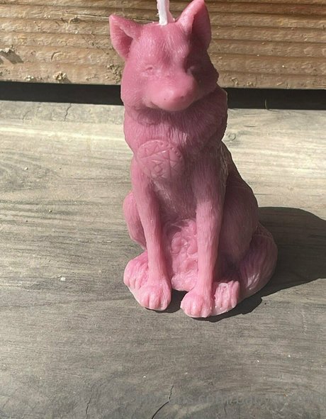 babymooshi pretty model pictures