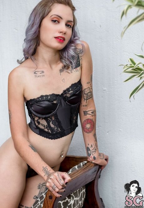 Peggolives model best img