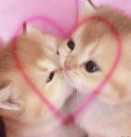 big booty latina onlyfans hot naked gallery