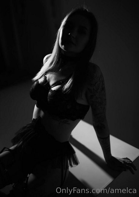 amelca hd model archive