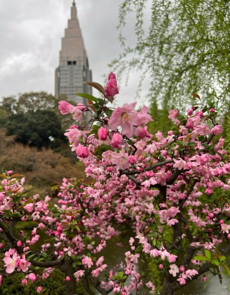 daddy onlyfans sexy nudes archive