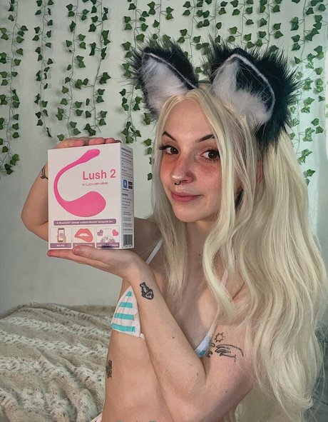 youkittenme Quick photo