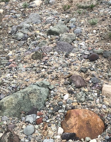 naomiwildman3 best model pics